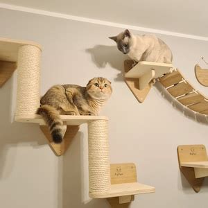 3 Piece Wall Cat Playground Cat Stairs Cat Bridge Shelf Etsy UK