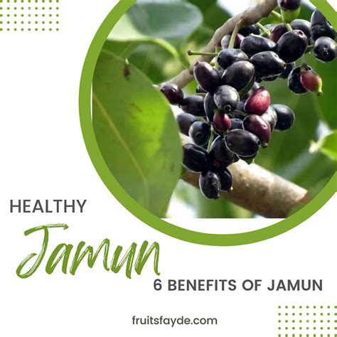 6 Benefits of Jamun fruit