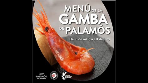 Presentaci Del Men De La Gamba De Palam S Youtube