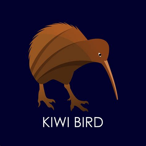 Modern Colorful Kiwi Bird Logo Design Template Vector Illustration