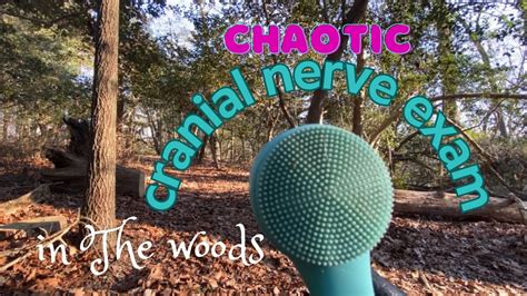 Asmr Chaotic Cranial Nerve Exam On You In The Woods Fast