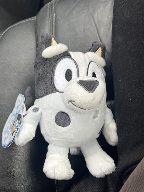 Found a muffin plush for 6 bucks at TJMaxx. : r/bluey