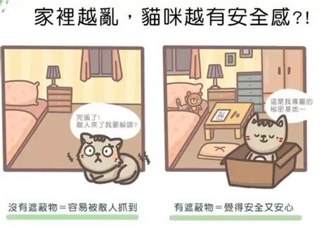 猫咪自己在家，能呆多少天？研究表明家里越乱猫咪越有安全感