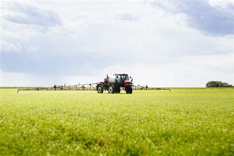 Post-Emergent Herbicide Options for Lentils | Saskatchewan Pulse Growers