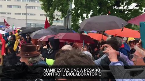 Pesaro Manifestazione Contro Il Biolaboratorio Il Corteo Video