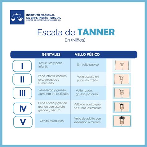 Inst. de Enfermería Pericial | La escala de Tanner, también conocida