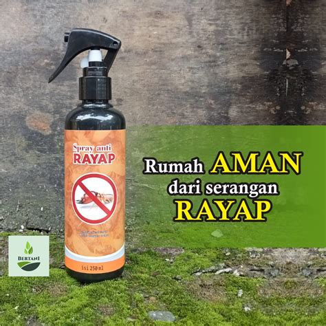 Jual OBAT RAYAP SEMPROT Pembasmi Rayap Kayu Tembok Dan Tanah PALING