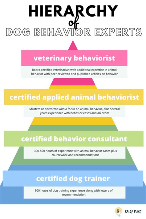 How To Find A Dog Behaviorist Near Me Help