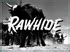 RAWHIDE TV SERIES 40 DVDS CLINT EASTWOOD RARE DVD