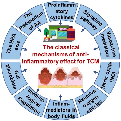 Classic Mechanisms And Experimental Models For The Antiinflammatory