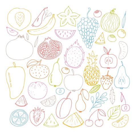 Premium Vector Set Of Hand Drawn Fruit And Berries Icons Summer Fruit