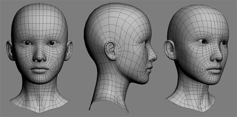 3D TRICKS MASTER LA TOPOLOGÍA FACIAL