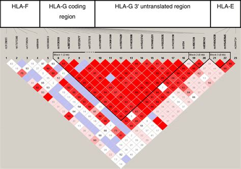 Linkage Disequilibrium Map Ld Of Hla G Markers Typed In Healthy