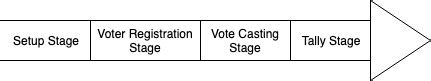 Stages in the voting process | Download Scientific Diagram