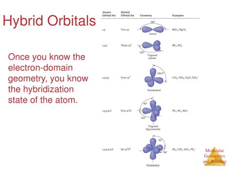 PPT - Hybrid Orbitals PowerPoint Presentation, free download - ID:6008276