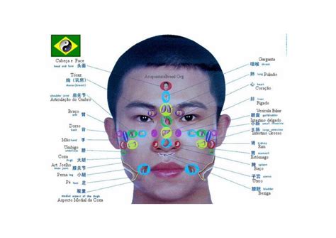 DOCX Mapa Facial DOKUMEN TIPS