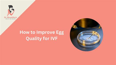 How To Improve Egg Quality For IVF