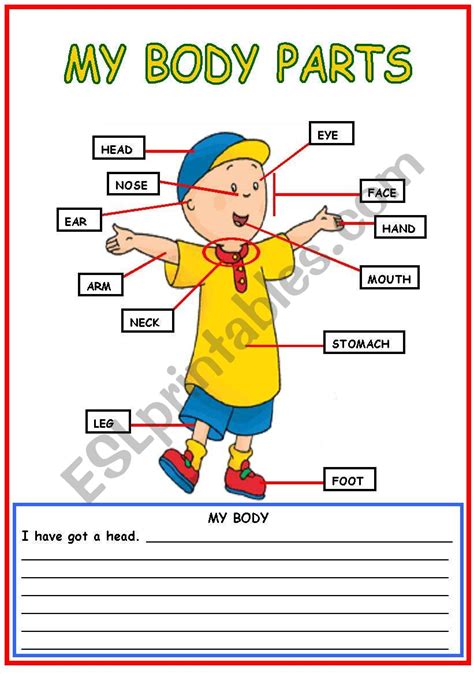 Body Parts Esl Worksheet By Bburcu