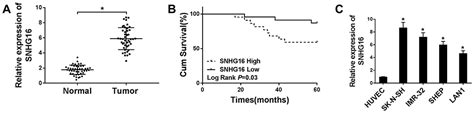 Long Non Coding Rna Snhg16 Facilitates Proliferation Migration Invas