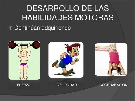 Desarrollo De Las Habilidades Motoras