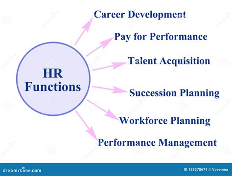 Functions Of Human Resources Management Stock Illustration