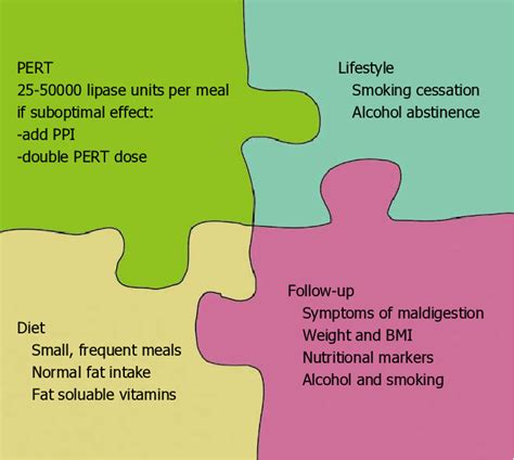 Fundamental Aspects In The Care Of Patients With Pancreatic Exocrine Download Scientific