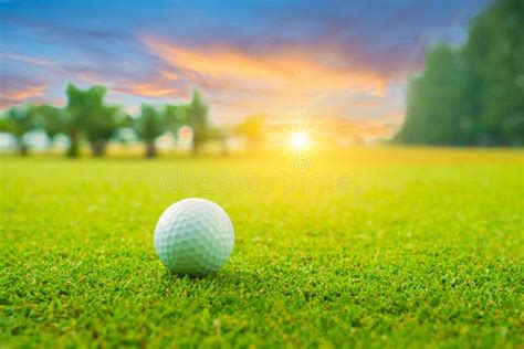 Golf Ball On Green In Beautiful Golf Course With Sunset Golf Ball