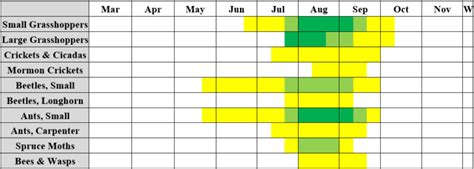 Livingston Montana Hatch Chart And Trout Prey Ycff