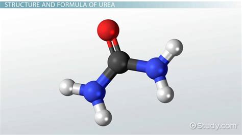 Urea | Structure, Formula & Uses - Lesson | Study.com