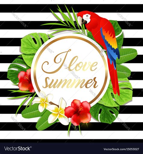 Summer Banner With Red Parrot Royalty Free Vector Image