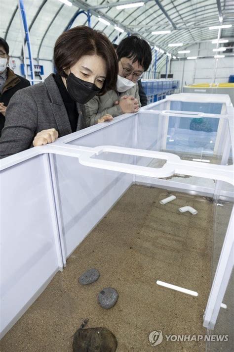 한정애 환경부 장관 국립생태원 멸종위기종복원센터 방문 네이트 뉴스