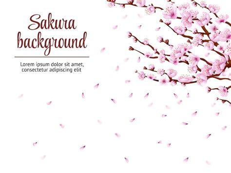 Sakura zweig hintergrund kirschblüte japan baum blumenzweige japanische