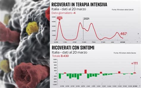 Covid Oggi In Calo Terapie Intensive Aumento Ricoveri In Reparti