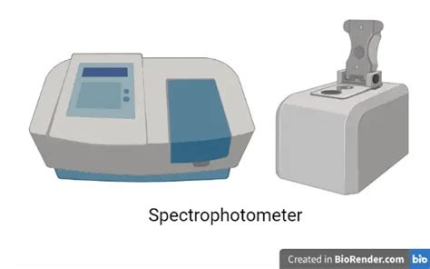 Spectrophotometer: Principle, Parts, Types, and Uses • Microbe Online