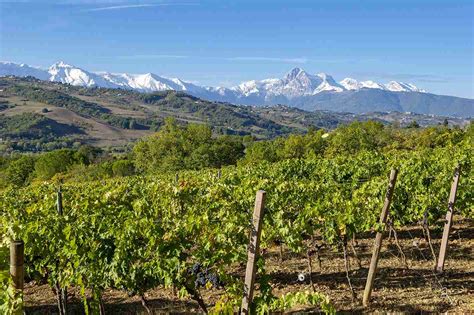 Colline Teramane l Abruzzo speciale è nei suoi vini Le pagine del vino