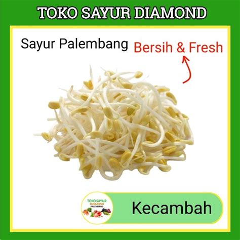 Jual Kecambah Toge Tauge Toko Sayur Diamond Sayuran Mayur Online