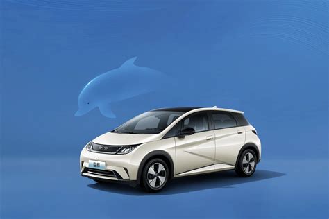 Byd Dolphin Electric Car Fashion Edition Km Ev Car Cost