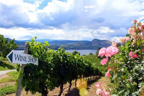 Best Okanagan Wineries As Recommended By A Local