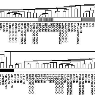 Unsupervised Hierarchical Cluster Analysis Of Gene Expression Data Of