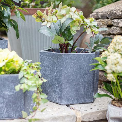 Slate Light Grey Hexagon Garden Pots Planters Apta