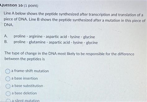 Solved What is the function of DNA primase in DNA | Chegg.com