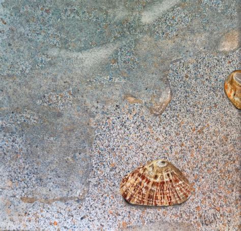 tiger tiger shell art hub artizan