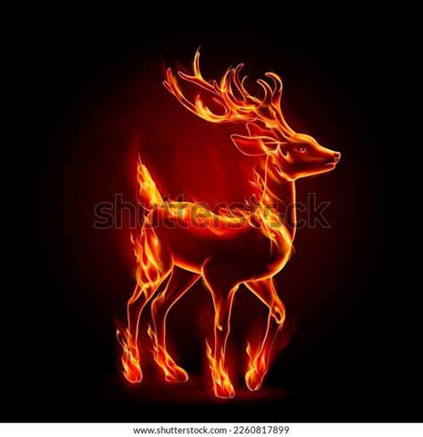 Concept Image Realistic Fire Flames Effect Stock Vector (Royalty Free ...