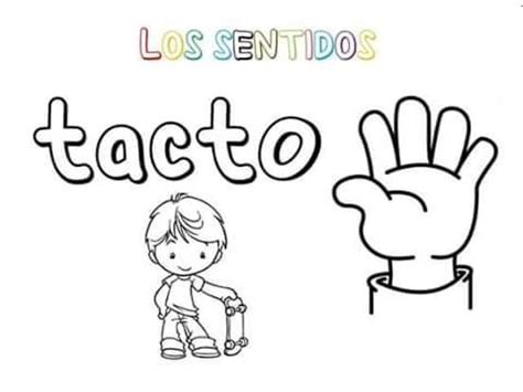 Tareitas Sentido Del Tacto Sentido Del Tacto Los Cinco Sentidos En