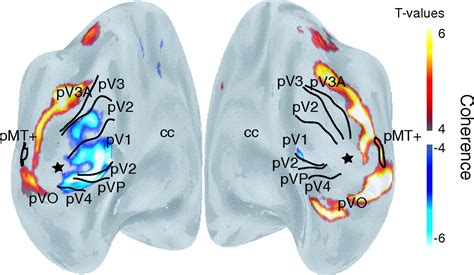 Journal And Conferences On Biomedical Engineering A Similarity Retrieval Tool For Functional