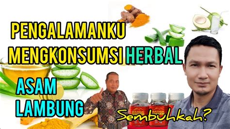 Pengalamanku Mengkonsumsi Obat Herbal Asam Lambung Youtube