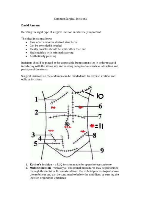 Common Surgical Incisions David Rassam Deciding The Right Type Of