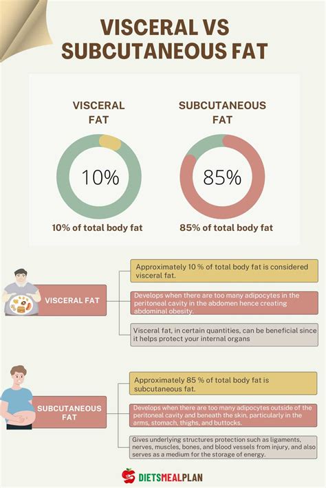 Visceral vs. Subcutaneous Fat - Diets Meal Plan