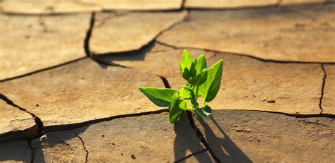 Día Contra El Cambio Climático Fundación Aquae