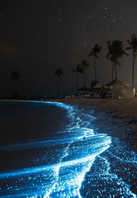 Maldives: The incredible photos of a beach that turns fluorescent at night